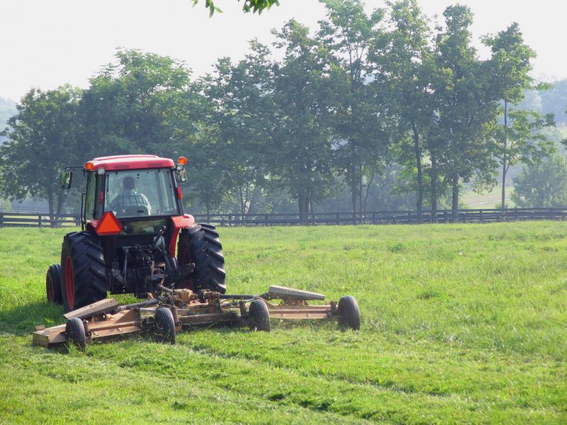 Pasture Mowing in Duluth, MN