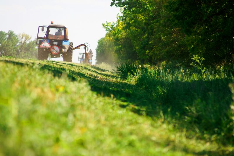Brush Hogging Service Promotions