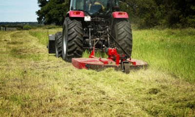 Cost of Brush Hogging — Cost of Brush Hogging