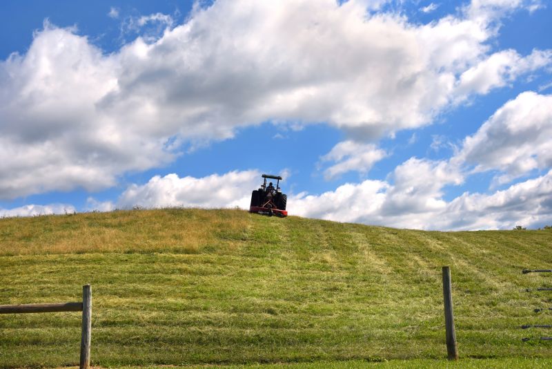 Cost of Brush Hogging — Cost of Brush Hogging