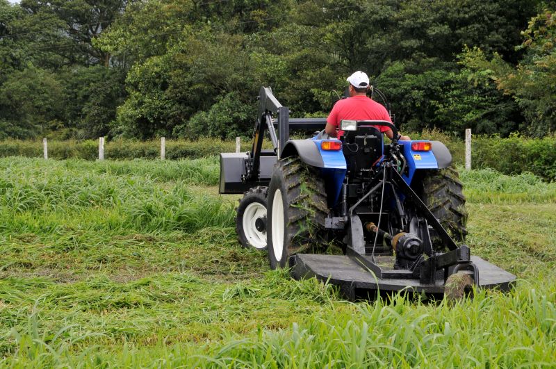 Cost of Brush Hogging — Cost of Brush Hogging
