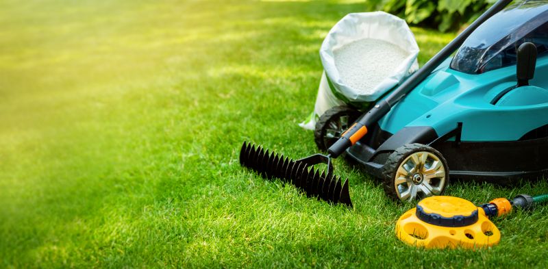 Summer Lawn Care in Bowie, MD